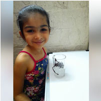 Could you lift an ice cube with a string?? Here U Kg B students are showing how to lift it…