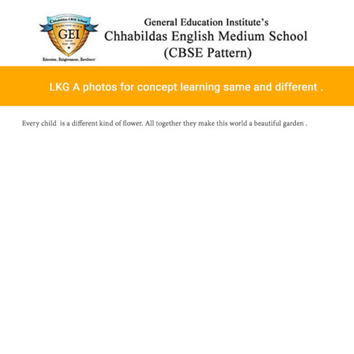 LKG A photos for concept learning same and different.