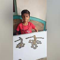 Grade IA Coins Activity