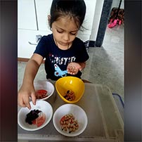 Sorting Activity By Nursery Class