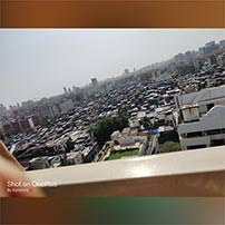 Creativity comes from trust. Trust your instincts. And never hope more than you work