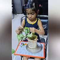 Germination Activity