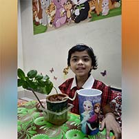 plant watered while away for holidays.