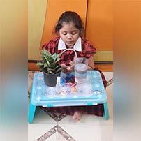 plant watered while away for holidays.